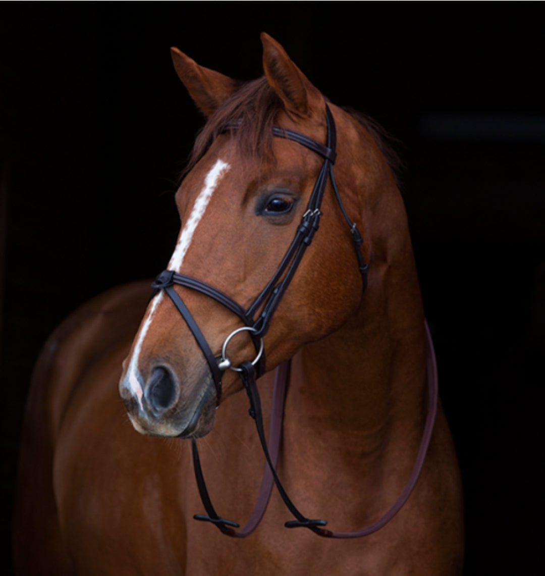 Horseware Mio Bridle with Flash