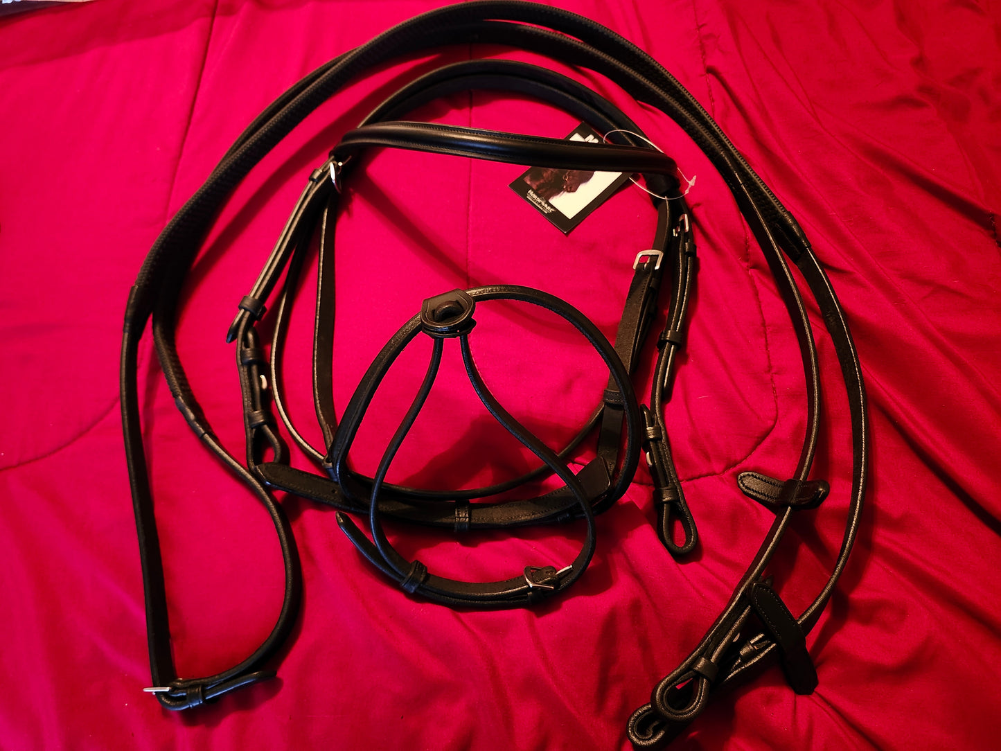 Horseware Mio Bridle with Flash